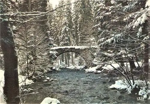 Ansichtskarte Frankreich - Les Vosges sous la Neige - Vieux pont en forêt (1839)
