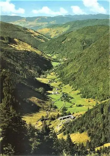 Ansichtskarte Deutschland - Blick ins Wiesental mit Feldberg / Schwarzwald (1866)