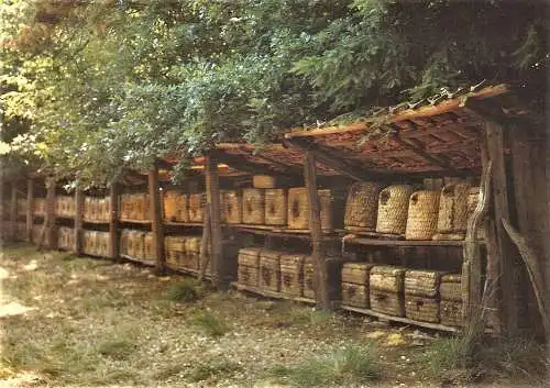 Ansichtskarte Deutschland - Hermannsburg / Korb-Bienenstand der Imkerei Völker in Hermannsburg in der Lüneburger Heide (2554)