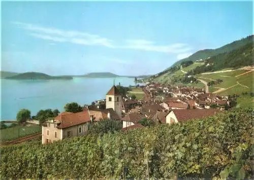 Ansichtskarte Schweiz - Twann am Bielersee / Ortsansicht Twann mit St. Petersinsel (1971)