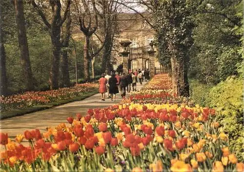Ansichtskarte Deutschland - Ludwigsburg / Gartenschau "Blühendes Barock" - Tulpenblüte unter der Platanenallee (2112)