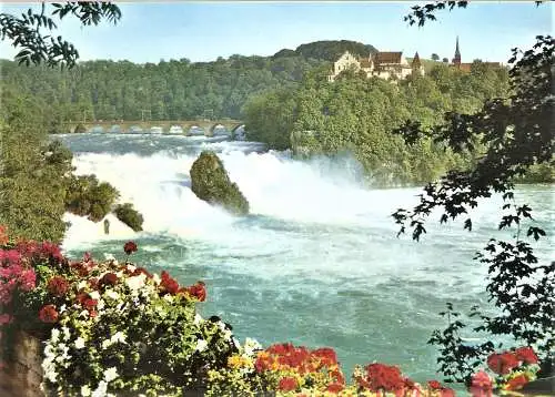 Ansichtskarte Schweiz - Rheinfall mit Schloss Laufen (2159)