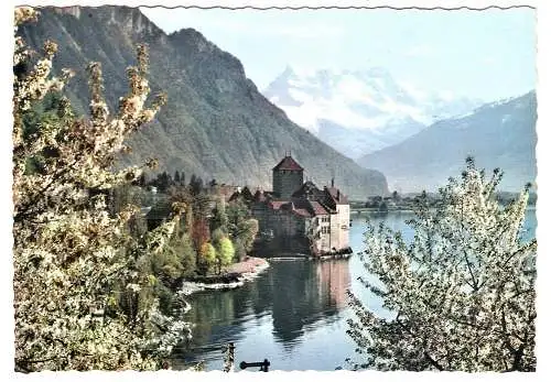 Ansichtskarte Schweiz - Lac Leman / Genfersee - Le Château de Chillon et les Dents du Midi au Printemps (2539)