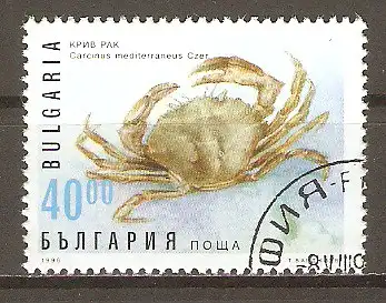 Briefmarke Bulgarien Mi.Nr. 4243 o Krebstiere 1996 / Mittelmeer-Strandkrabbe (Carcinus mediterraneus) #