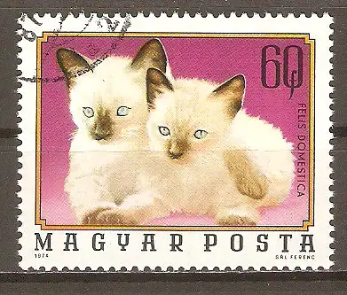 Briefmarke Ungarn Mi.Nr. 3008 A o Junge Haustiere 1974 / Kätzchen (Felis domestica) #2024192