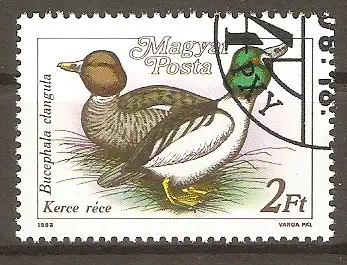 Briefmarke Ungarn Mi.Nr. 3973 A o Wildenten 1988 / Schellente (Bucephala clangula) #2024222