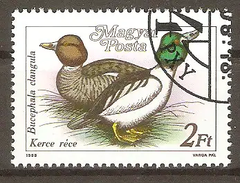 Briefmarke Ungarn Mi.Nr. 3973 A o Wildenten 1988 / Schellente (Bucephala clangula) #