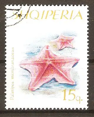 Briefmarke Albanien Mi.Nr. 1060 o Gänsefuß-Seestern (Palmipes membranaceus) #2024226