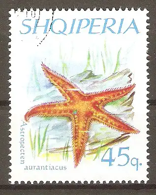 Briefmarke Albanien Mi.Nr. 1063 o Mittelmeer- Kammstern (Astropecten aurantiacus) #2024228