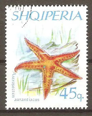 Briefmarke Albanien Mi.Nr. 1063 o Stachelhäuter 1966 / Mittelmeer- Kammstern (Astropecten aurantiacus) #