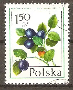 Briefmarke Polen Mi.Nr. 2490 o Waldfrüchte 1977 / Heidelbeere (Vaccinium myrtillus) #