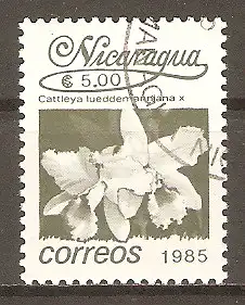 Briefmarke Nicaragua Mi.Nr. 2662 o Blumen 1986 / Lippenblütige Cattleya-Orchidee (Cattleya lueddemanniana) #2024307