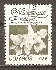 Briefmarke Nicaragua Mi.Nr. 2662 o Blumen 1986 / Lippenblütige Cattleya-Orchidee (Cattleya lueddemanniana) #