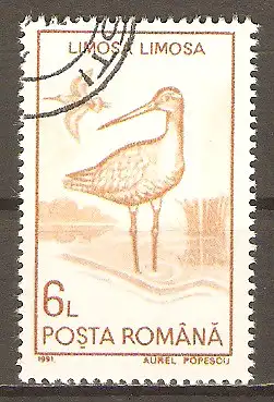 Briefmarke Rumänien Mi.Nr. 4650 o Vögel 1991 / Uferschnepfe (Limosa limosa) #