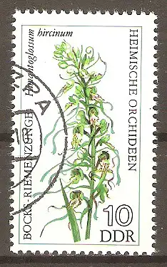 Briefmarke DDR Mi.Nr. 2135 o Heimische Orchideen 1976 / Bocks-Riemenzunge (Himantoglossum hircinum) #2024381