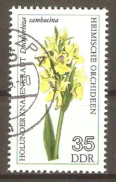 Briefmarke DDR Mi.Nr. 2138 o Heimische Orchideen 1976 / Holunderknabenkraut (Dactylorhiza sambucina) #2024382