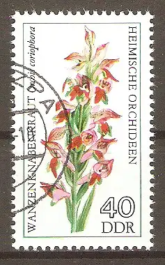 Briefmarke DDR Mi.Nr. 2139 o Heimische Orchideen 1976 / Wanzenknabenkraut (Orchis coriophora) #2024383