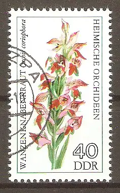 Briefmarke DDR Mi.Nr. 2139 o Heimische Orchideen 1976 / Wanzenknabenkraut (Orchis coriophora) #