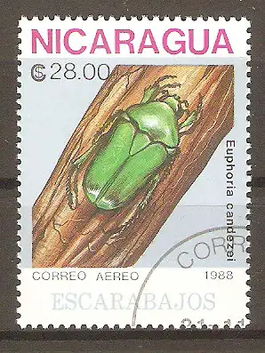 Briefmarke Nicaragua Mi.Nr. 2899 o Käfer 1988 / Euphoria candezei #2024458