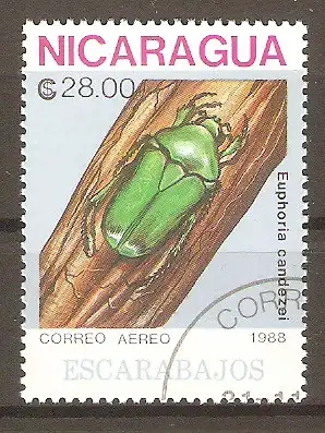 Briefmarke Nicaragua Mi.Nr. 2899 o Käfer 1988 / Euphoria candezei #