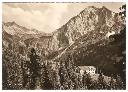 Ansichtskarte Deutschland - Reichenbach bei Oberstdorf / Alpengasthaus Gaisalpe (2704)