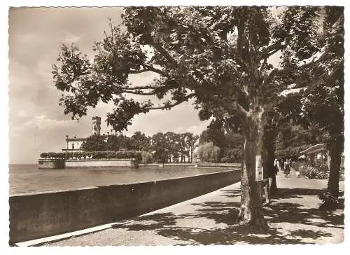 Ansichtskarte Deutschland - Langenargen am Bodensee / Schloß Montfort (2709)