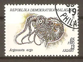 Briefmarke Madagaskar Mi.Nr. 1418 o Mollusken 1993 / Großes Papierboot (Argonauta argo) #