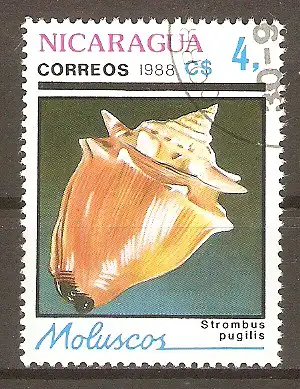 Briefmarke Nicaragua Mi.Nr. 2887 o Muscheln und Meeresschnecken 1988 / Kubanische Buntschnecke (Polymita picta) #