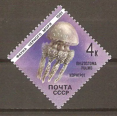 Briefmarke Sowjetunion Mi.Nr. 6158 ** Tiere des Schwarzen Meeres 1991 / Meduse (Rhizostoma pulmo) #