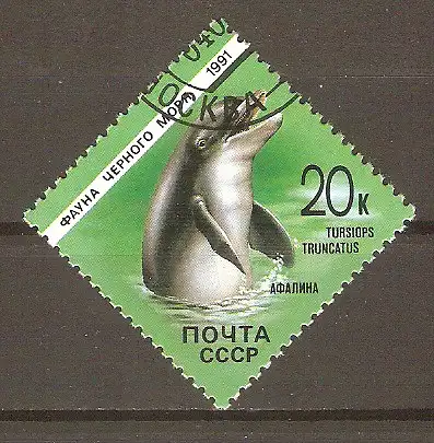 Briefmarke Sowjetunion Mi.Nr. 6162 o Tiere des Schwarzen Meeres 1991 / Großer Tümmler (Tursiops truncatus) #