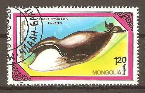 Briefmarke Mongolei Mi.Nr. 2147 o Wale und Delphine 1990 / Grönlandwal (Balaena mysticetus) #