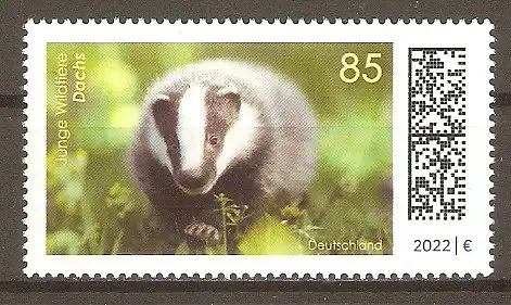 Briefmarke BRD Mi.Nr. 3681 ** Tierbabys 2022 / Europäischer Dachs (Meles meles) #