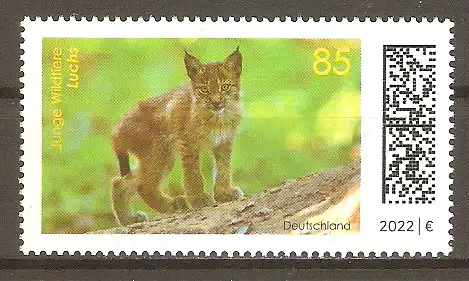 Briefmarke BRD Mi.Nr. 3682 ** Tierbabys 2022 / Eurasischer Luchs (Lynx lynx) #