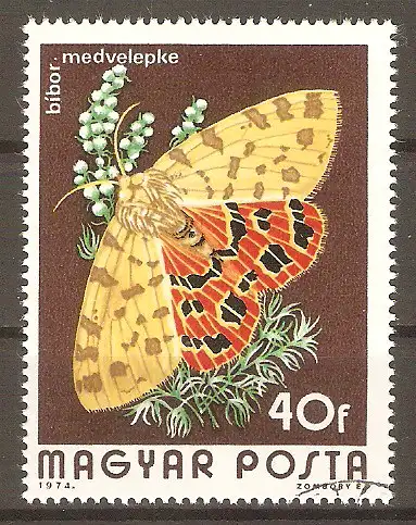 Briefmarke Ungarn Mi.Nr. 2994 A o Schmetterlinge 1974 / Purpurbär (Diacrisia purpurata) #