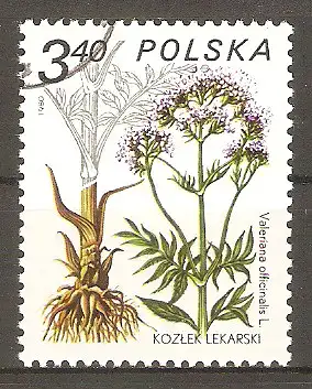 Briefmarke Polen Mi.Nr. 2708 o Heilpflanzen 1980 / Gemeiner Baldrian (Valeriana officinalis) #