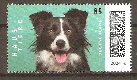 Briefmarke BRD Mi.Nr. 3837 ** Haustiere 2024/ Border Collie (Canis lupus familiaris) #