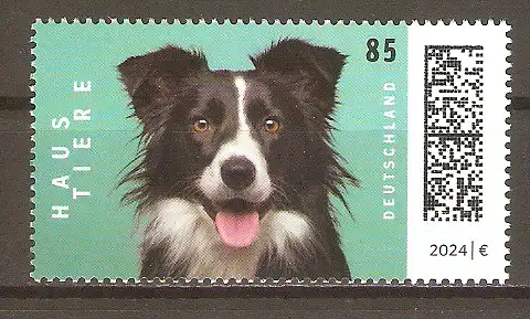 Briefmarke BRD Mi.Nr. 3837 ** Haustiere 2024/ Border Collie (Canis lupus familiaris) #