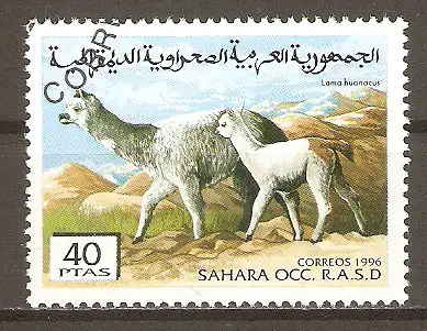 Briefmarke Sahara OCC 1996 o Lama (Lama huanacus) #