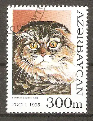 Briefmarke Aserbaidschan Mi.Nr. 265 o Katzenrassen 1995 / Scottish Fold Langhaar #