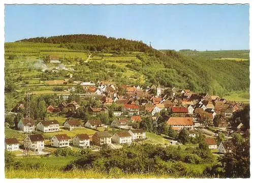 Ansichtskarte Deutschland - Polle (Oberweser) - Ortspanorama (2769)