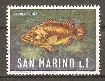 Briefmarke San Marino Mi.Nr. 869 ** Meeresfauna 1966 / Wrackbarsch (Polyprion americanum) #