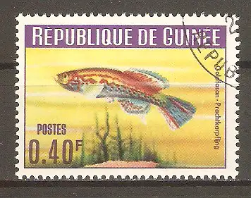 Briefmarke Guinea Mi.Nr. 215 A o Fische 1964 / Goldfasankärpfling (Aphyosemion occidentale) #