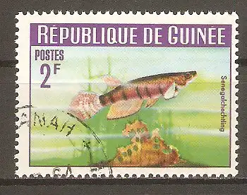 Briefmarke Guinea Mi.Nr. 219 A o Fische 1964 / Senegal-Hechtling (Epiplatys senegalensis) #