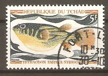 Briefmarke Tschad Mi.Nr. 284 o Einheimische Süßwasserfische 1969 / Nilkugelfisch (Tetraodon fahaka strigosus) #