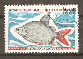 Briefmarke Tschad Mi.Nr. 283 o Einheimische Süßwasserfische 1969 / Moonfish (Citharinus latus) #