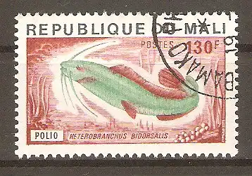 Briefmarke Mali Mi.Nr. 544 o Fische 1976 / Kiemensackwels (Heterobranchus bidorsalis) #