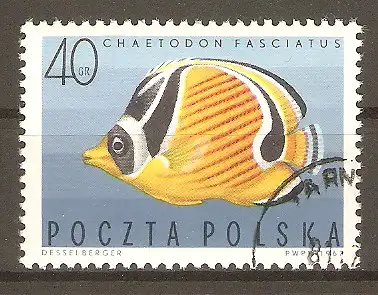 Briefmarke Polen Mi.Nr. 1750 o Exotische Fische 1967 / Gebänderter Falterfisch (Chaetodon fasciatus) #