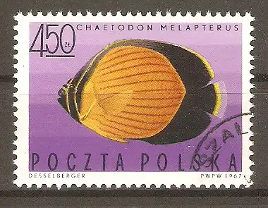 Briefmarke Polen Mi.Nr. 1754 o Exotische Fische 1967 / Schwarzflossen-Falterfisch (Chaetodon melampterus) #