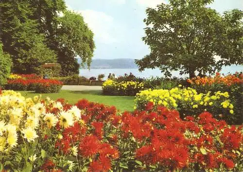 Ansichtskarte Deutschland - Insel Mainau - Blühende Blumen mit Blick auf den Bodensee (2849)