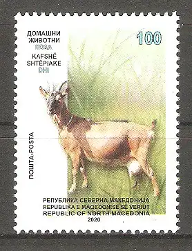 Briefmarke Makedonien Mi.Nr. 909 ** Haustiere 2020 / Hausziege (Capra aegagrus hircus) #